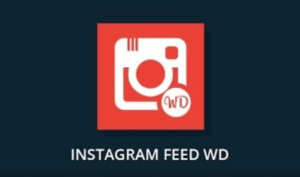 instagram-feed-by-10web-google-search